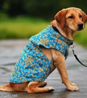 Dog Clothes