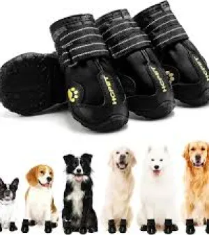 Dog Shoes