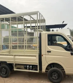 Vehicle Body