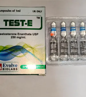 TEST-E 250mg INJECTION