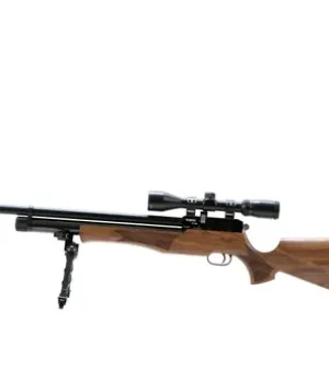 Air Rifle