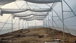 Green House, Usage : Agriculture
