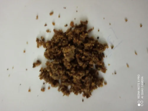 aquaculture feed