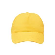 Panel Cap