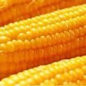 Frozen Sweet Corn