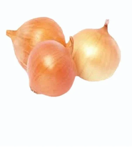 Yellow Onion