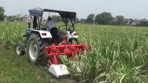 Sugarcane inter row cultivator with fertilizer drill