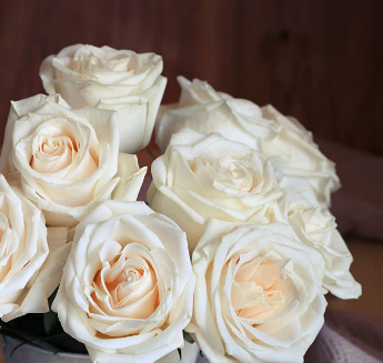 Natural Rose Flower