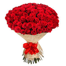 Red Rose Flower