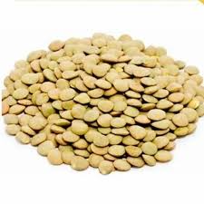 Lentils