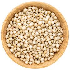 Sorghum