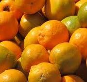 Nagpuri Orange