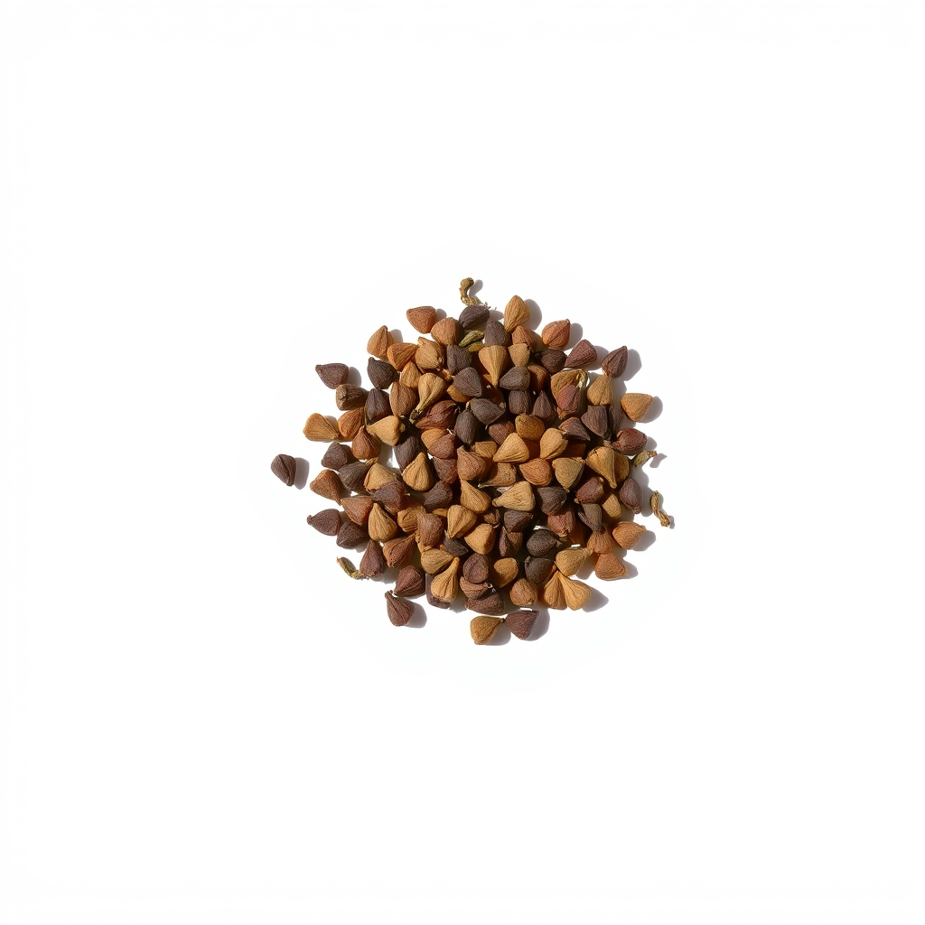 Nirmali Seeds Strychnos Potatorum
