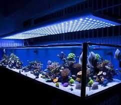 Aquarium light