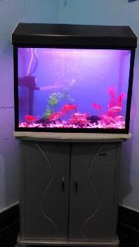 aquarium lights