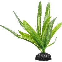 Aquarium Plants