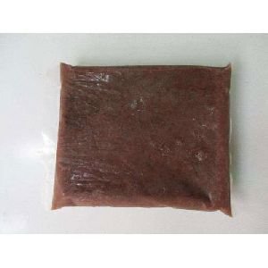 Bio Mass Artemia