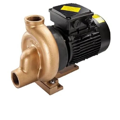 Bronze Filter Pump