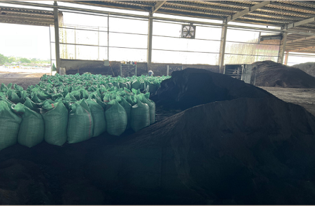 Sundried Chicken Manure Fertilizer