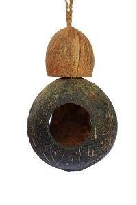 Coconut Shell Three Hole Bird Feeder