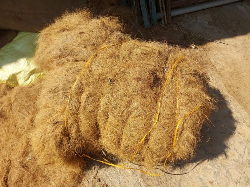 Coir Fiber