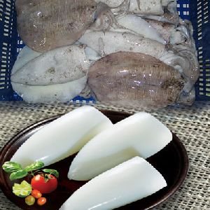 Cuttlefish
