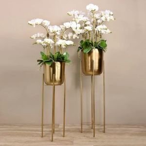 Decorative Flower Pots