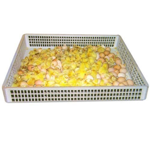 Egg Hatcher Basket
