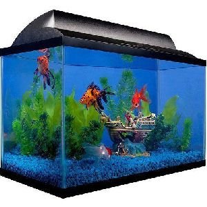 Glass Fish Aquarium