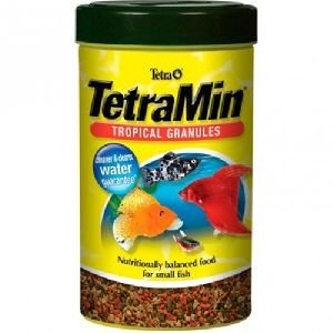 Fish Food