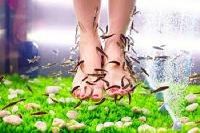 fish pedicure