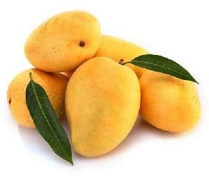 Fresh Yellow Mango