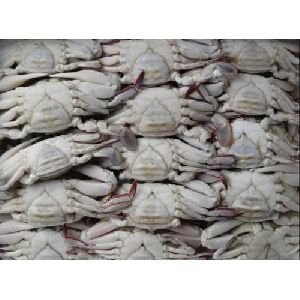 Frozen Crabs
