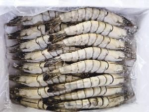 Frozen Prawns