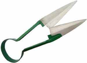 Grass Scissor