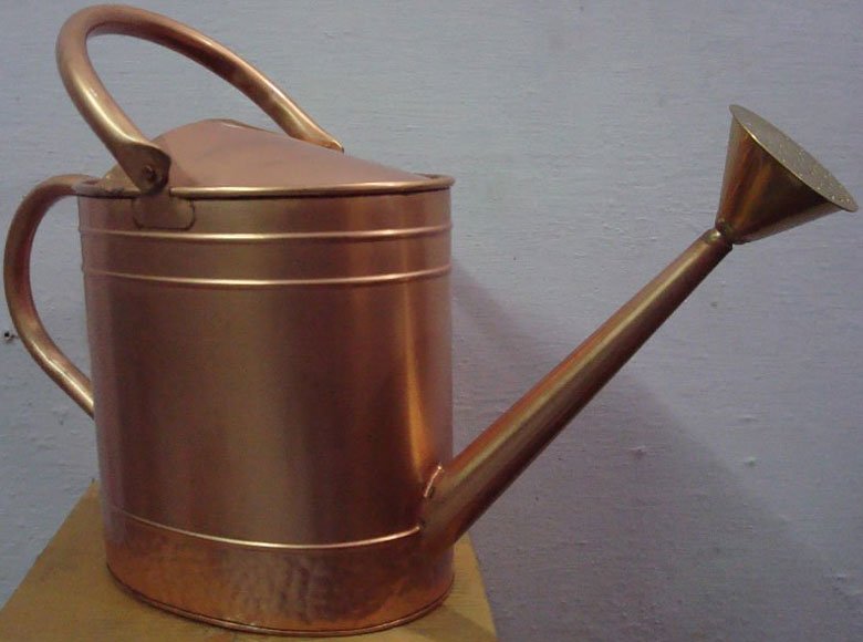 Iron Water Cane