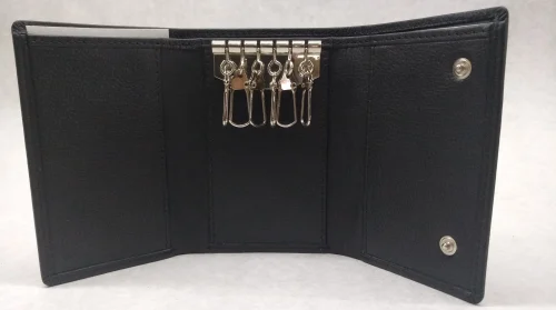 Key Cases