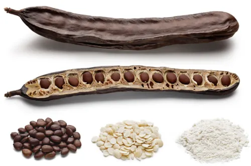 locust beans