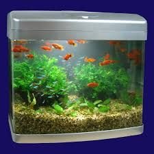 moulded aquarium