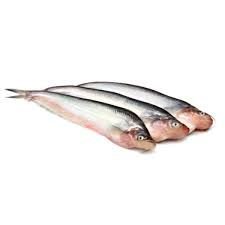 Pabda fish