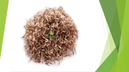 oil seeds