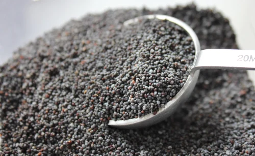 oil seeds