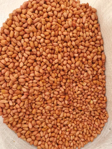 oil seeds