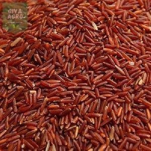 Organic Red Rice