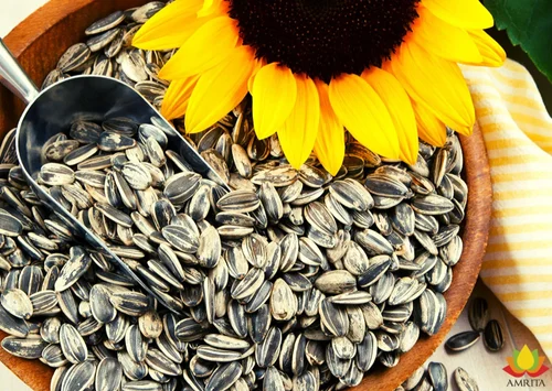 oil seeds