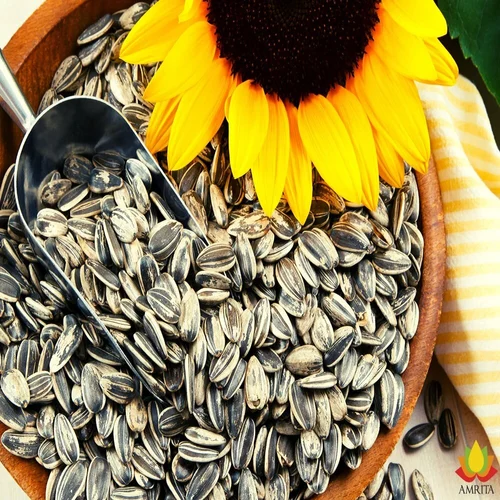 oil seeds