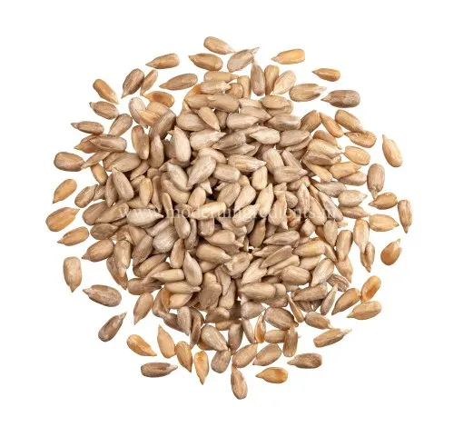 oil seeds