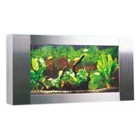 Wall Aquarium