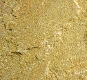 Yellow Sandstone