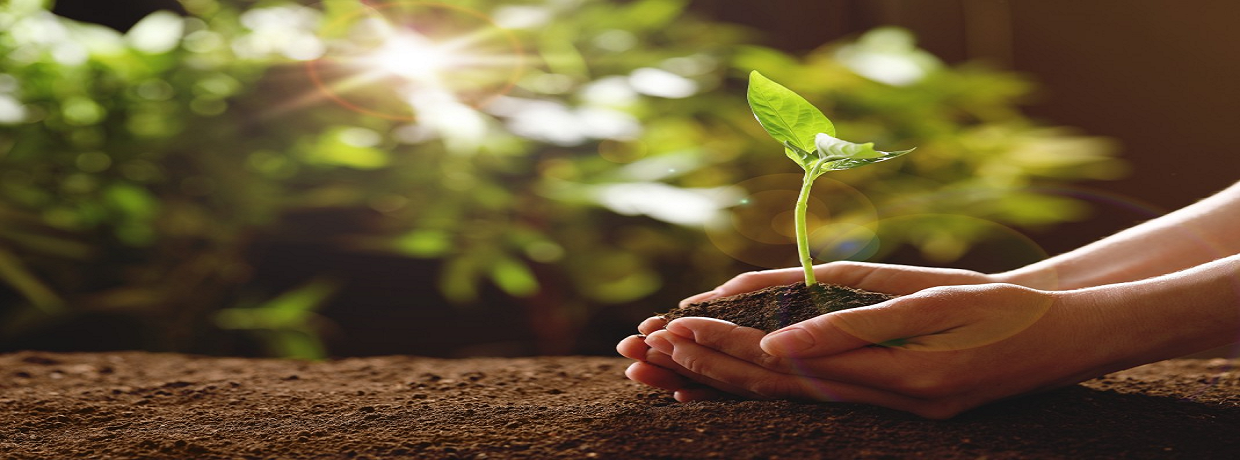 ASHOKA AGRI SOLUTION